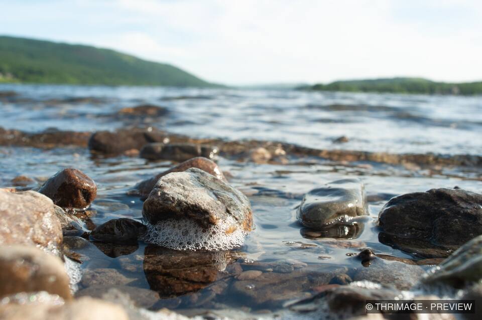 Wet rounded stones and foam in shallow lake water with wooded hills beyond