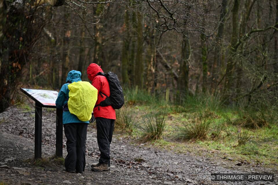 Two hikers in colorful rain gear reading a trail map in a wet woodland.