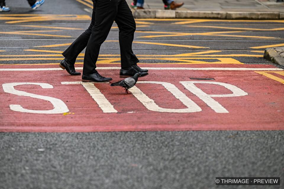 Two pedestrians and a pigeon crossing a red STOP road marking.
