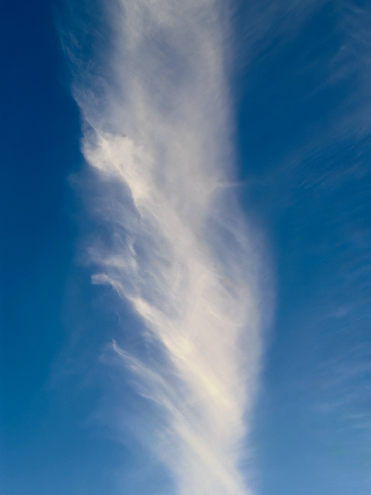 Tall feather-shaped white cloud stretching vertically across a deep blue sky.