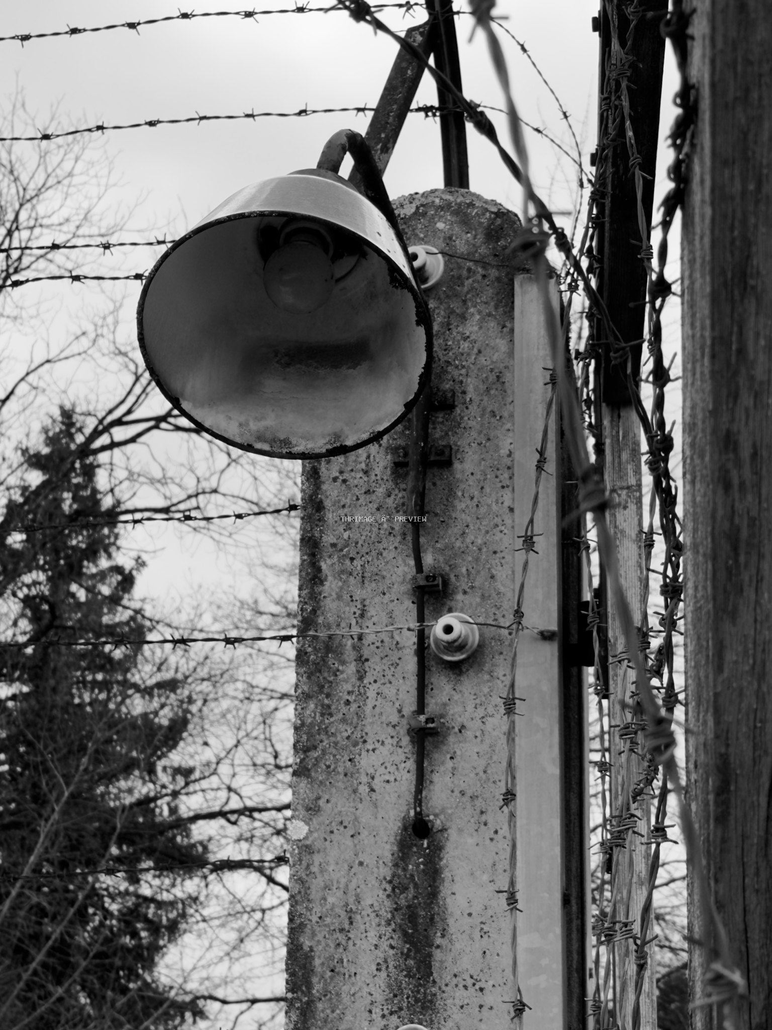 Weathered outdoor lamp behind dense strands of barbed wire on a concrete post.
