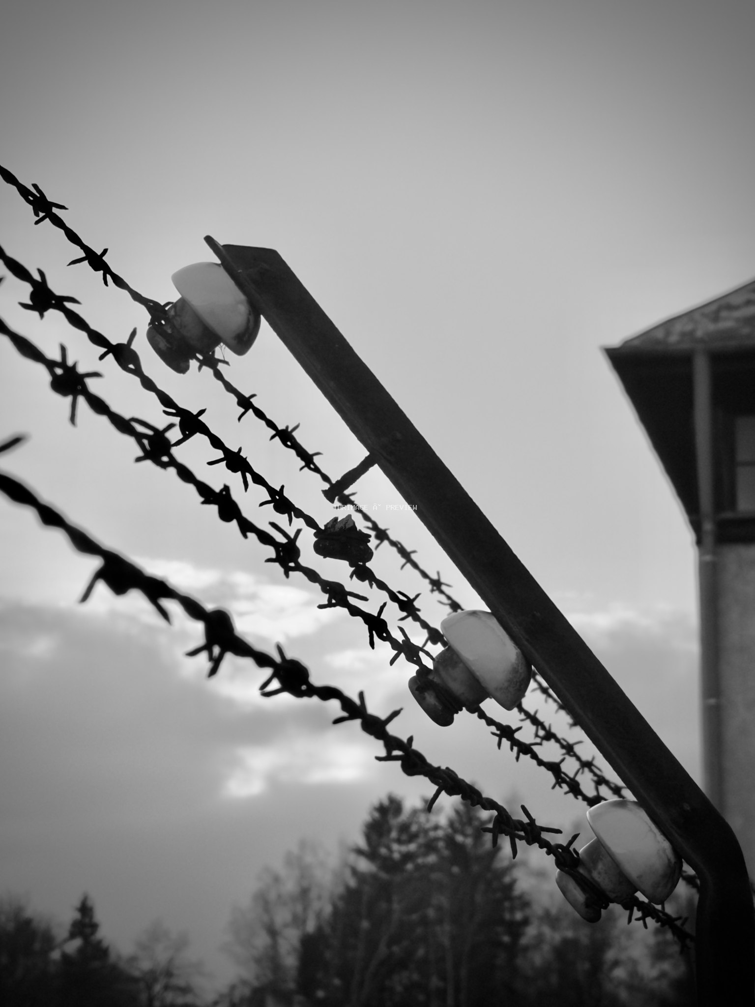 Angled barbed-wire fencing with ceramic insulators silhouetted against a cloudy sky, with trees and a building behind it.
